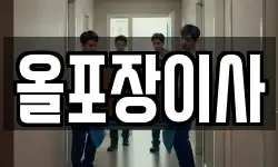 올포장이사