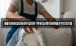 원룸이사용달이사사무실이사1톤용달소형이사화물운반오피스텔