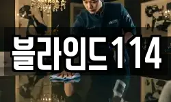 블라인드114