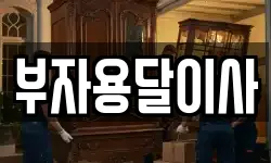 부자용달이사
