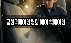 금천구에어컨청소 에어백에어컨