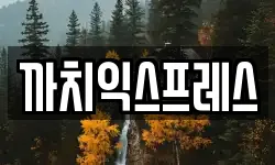 까치익스프레스