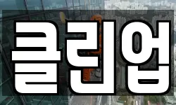 클린업