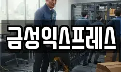 금성익스프레스