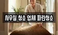 사무실 청소 업체 파란청소