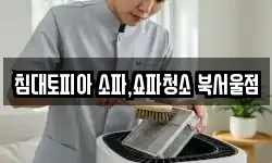 침대토피아 소파,쇼파청소 북서울점