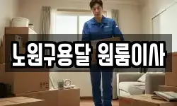 노원구용달 원룸이사