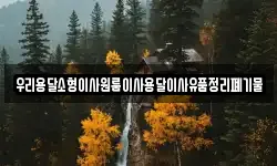 우리용달소형이사원룸이사용달이사유품정리폐기물