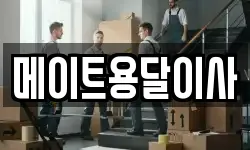 메이트용달이사