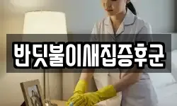 반딧불이새집증후군