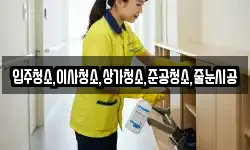 입주청소,이사청소,상가청소,준공청소,줄눈시공
