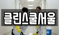 클린스쿨서울