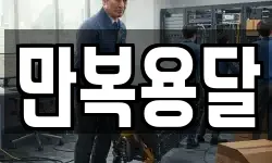 만복용달