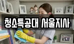 청소특공대 서울지사