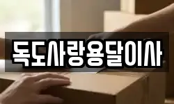 독도사랑용달이사