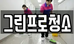 그린프로청소