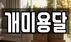 개미용달