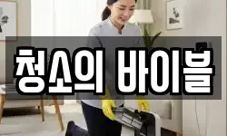 청소의 바이블