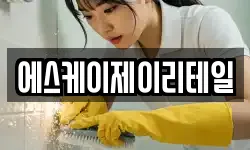 에스케이제이리테일
