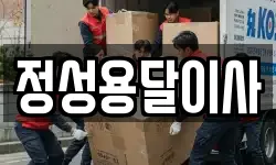 정성용달이사