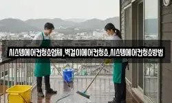 시스템에어컨청소업체,벽걸이에어컨청소,시스템에어컨청소방법