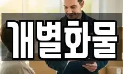 개별화물