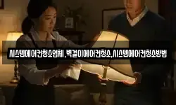 시스템에어컨청소업체,벽걸이에어컨청소,시스템에어컨청소방법