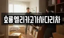 효룡엘리카고가사다리차