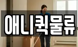 애니퀵물류