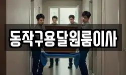 동작구용달원룸이사