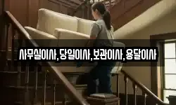 사무실이사,당일이사,보관이사,용달이사