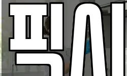 픽시