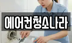 에어컨청소나라