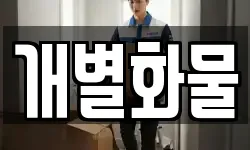 개별화물
