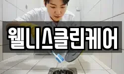 웰니스클린케어