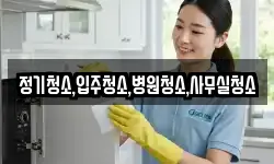 정기청소,입주청소,병원청소,사무실청소