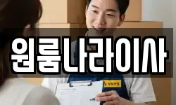 원룸나라이사