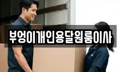 부엉이개인용달원룸이사