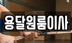 용달원룸이사