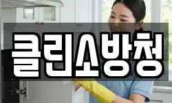 클린소방청