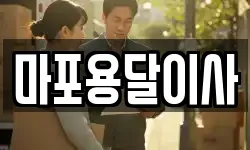 마포용달이사