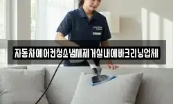 자동차에어컨청소냄새제거실내에바크리닝업체