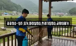 꼼꼼청소-입주,퇴거,화장실청소,쓰레기집청소,곰팡이제거