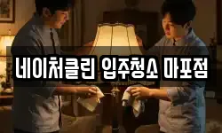 네이처클린 입주청소 마포점