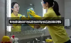 특수청소화재청소바닥청소공장청소사무실청소준공청소예초대행집