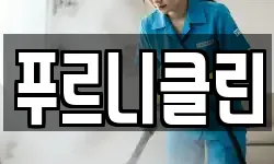 푸르니클린
