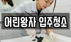 어린왕자 입주청소