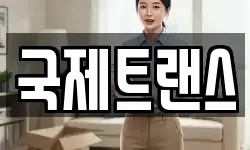 국제트랜스