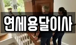 연세용달이사