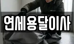 연세용달이사
